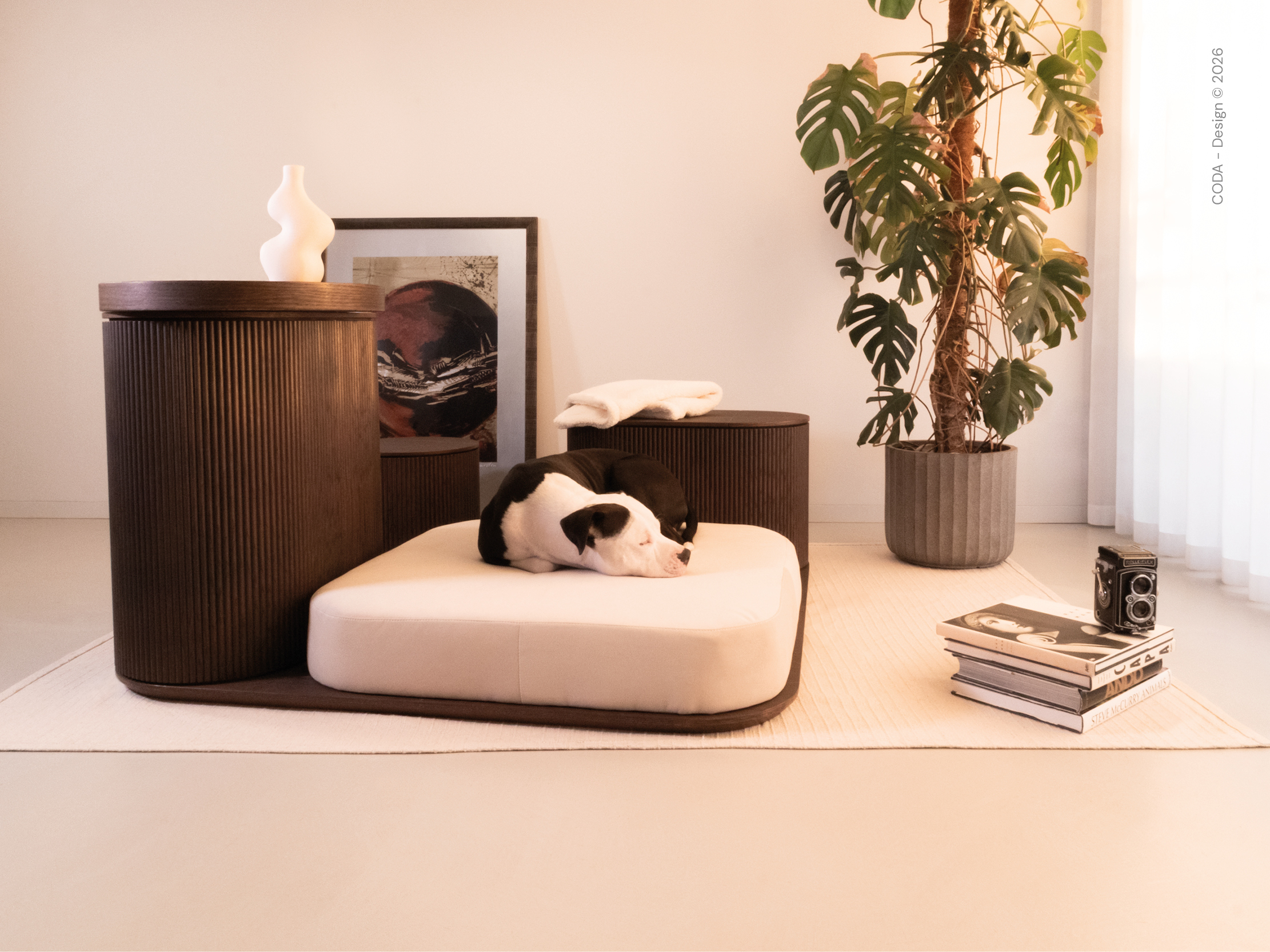 Coda Pet Design | Isola Grande 04